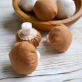 Mushroom felt food, vegetable