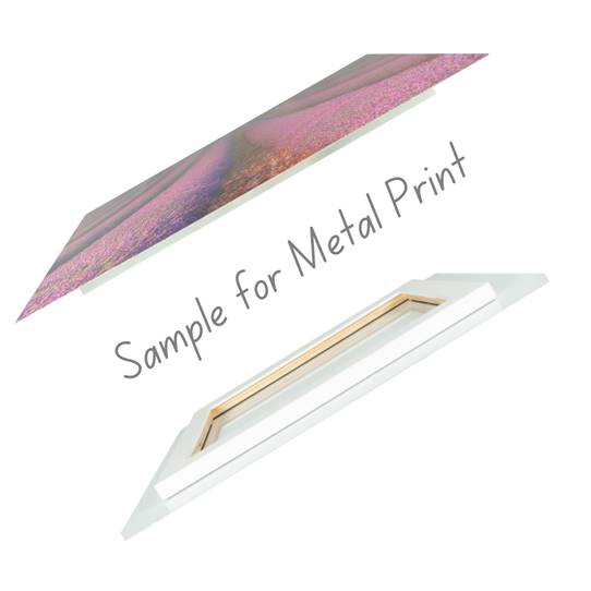 Crystal - Art Prints